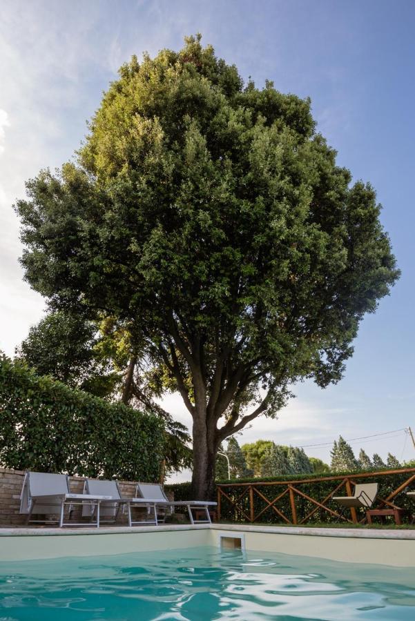 Borgocuore Todi Exteriör bild